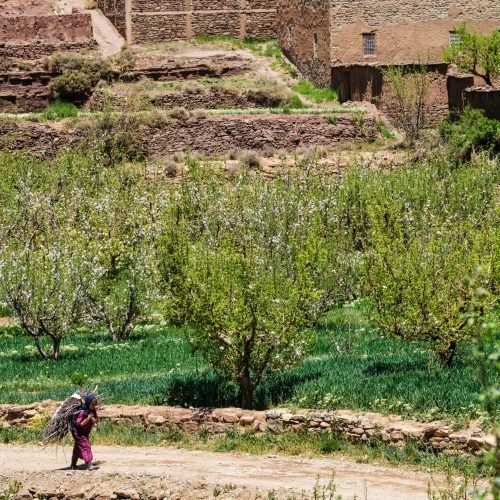 Atlas Mountains near Marrakech with Berber villages