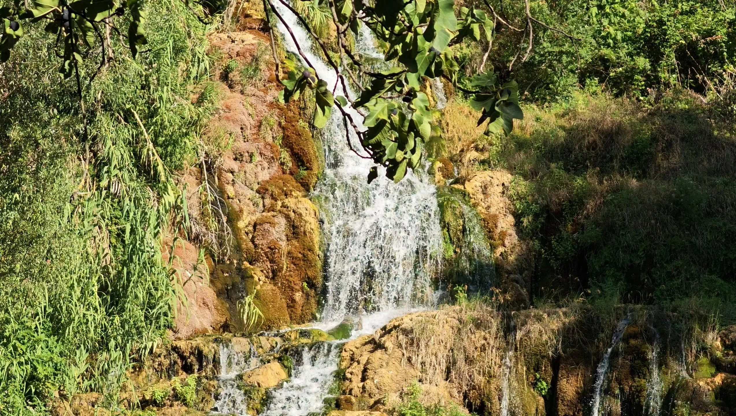 Ouzoud Waterfalls day trip